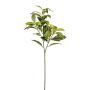Branche artificielle de laurier KROVAN, vert, 65cm