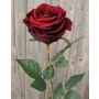 Rose en velours WALERIE, rouge bourgogne, 80cm, Ø10m