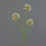 Branche d'allium artificielle ZEBU, crème, 65 cm, Ø 7 cm
