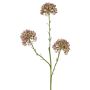 Branche décorative d'allium ALIKIO, lilas, 65cm, Ø7cm