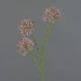 Branche décorative d'allium ALIKIO, violette, 65 cm, Ø 7 cm