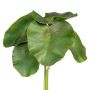 Feuille décorative de nénuphar LIRVA, 5 pièces, verte, 27 cm