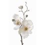 Magnolia en soie MALBINE, crème, 50cm, Ø6-10cm