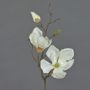 Magnolia en soie MALBINE, crème, 50cm, Ø6-10cm