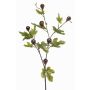 Branche décorative de figuier PROWER avec fruits, verte, 90 cm