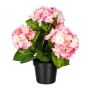 Fleur décorative Hortensia SLORFIN en pot décoratif noir, rose, 30cm