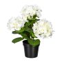 Fleur décorative Hortensia SLORFIN en pot décoratif noir, blanc, 30cm