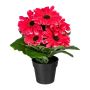 Fleur artificielle Gerbera KROLVEN en pot décoratif noir, rose fuchsia, 27cm