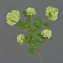 Branche de viorne obier artificielle JIVA, vert, 50cm, Ø4-7cm