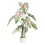 Plante décorative Caladium GRUHON, cache-pot en mélamine, vert-rouge, 100 cm