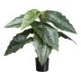 Plante artificielle Colocasia ZORHEL, verte, 65 cm