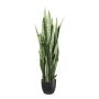 Plante succulente artificielle Sanseveria PLINK en pot décoratif, vert, 110cm