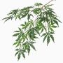 Branche d'érable du Japon artificiel DIRK, ignifuge, vert, 70cm