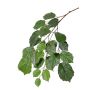 Branche de tilleul artificielle ANJING, ignifuge, vert, 75cm