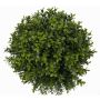 Boule de buis synthétique TOM, noyau en bois, vert, Ø28cm