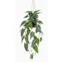 Panier suspendu avec Alocasia sanderiana artificiel XEZOR, pot décoratif, vert-blanc, 80cm