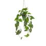 Panier suspendu avec Philodendron scandens artificiel ZILDA, pot décoratif, 80cm