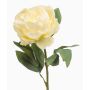 Fleur artificielle Pivoine IFEOMA, crème, 65cm