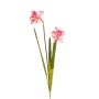 Fleur décorative Narcisse OTZARA sur piquet, rose, 60cm
