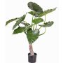 Plante artificielle Oreille d'éléphant SURI, vert, 80cm