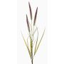 Branche de vulpin artificielle TALOR avec des panicules, brun-vert, 85cm