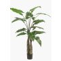 Alocasia sanderiana artificiel ALBULA, vert, 150cm