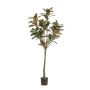 Magnolia Yulan artificiel BELLITA, tronc artificiel, vert olive, 150cm