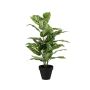 artificielle Pflanze Dieffenbachia ELSAWA en pot décoratif, vert, 65cm