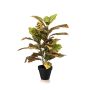 artificielle Pflanze Croton ISKANDAR en pot décoratif, multicolore, 65cm