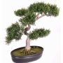 Faux bonsaï cèdre JARNO, avec racines, coupe déco, vert, 40cm