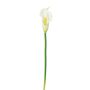 Fleur en plastique Calla PERKAN, blanc, 35cm