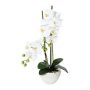 Orchidée Phalaenopsis en tissu DINKA dans une coupe en céramique, racines, blanc, 50cm