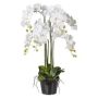 Orchidée Phalaenopsis artificielle LOPASY, racines, blanc, 90cm