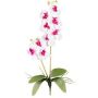 Orchidée Phalaenopsis en tissu MORLEK, racines, blanc-lilas, 60cm