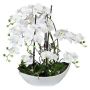Arrangement d'orchidée et de saule tire-bouchon artificiel TANIN, coupe en céramique, racines, blanc, 70cm