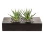 Plante succulente artificielle Aloe variegata FRONZ dans un bac en bois, vert-blanc, 24x11x14cm