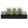 Plante succulente artificielle Aloe variegata FRONZ dans un bac en bois, vert-blanc, 36x15,5x16cm