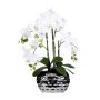 Fleur en plastique Orchidée Phalaenopsis SINKA en pot décoratif argenté, blanc, 55cm