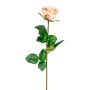 Fleur décorative Rose NORLAN, rose clair, 70cm