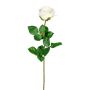 Fleur décorative Rose NORLAN, crème, 70cm, Ø8cm
