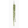 Succulente décorative Suspension de séneçon PURUS, piquet, vert, 60cm