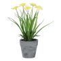 Fleur artificielle Narcisse ZORKLEM en pot décoratif, jaune, 22cm