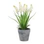 Fleur artificielle Muscari ZORKLEM en pot décoratif, blanc, 22cm