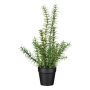 Herbe artificielle romarin VENTALI dans un pot décoratif, vert, 40 cm