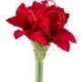 Fleur en plastique Amaryllis LIKONE, rouge, 30cm