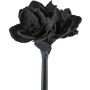 Fleur en plastique Amaryllis LIKONE, noir, 65cm