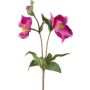 Branche de fleurs artificielles Rose de Noël IRAFESA, rose fuchsia, 40cm