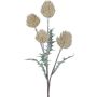 Branche décorative Eryngium KRILMO, vanille, 40cm