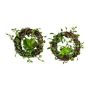 Couronne artificielle de Muehlenbeckia MEVRO, 2 pièces, plante succulente, vert, Ø8cm