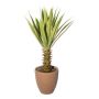 Agave furcraea gigantea artificiel SININ en pot en terre cuite, vert-crème, 75cm